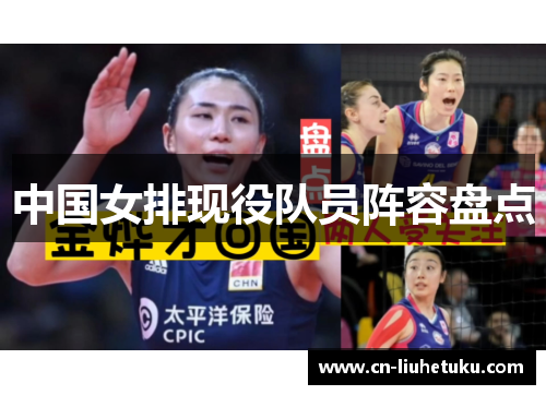 中国女排现役队员阵容盘点